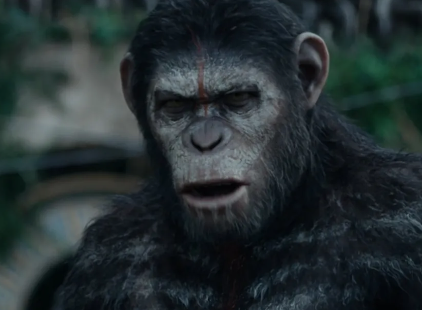 <p>Planet of the Apes</p>