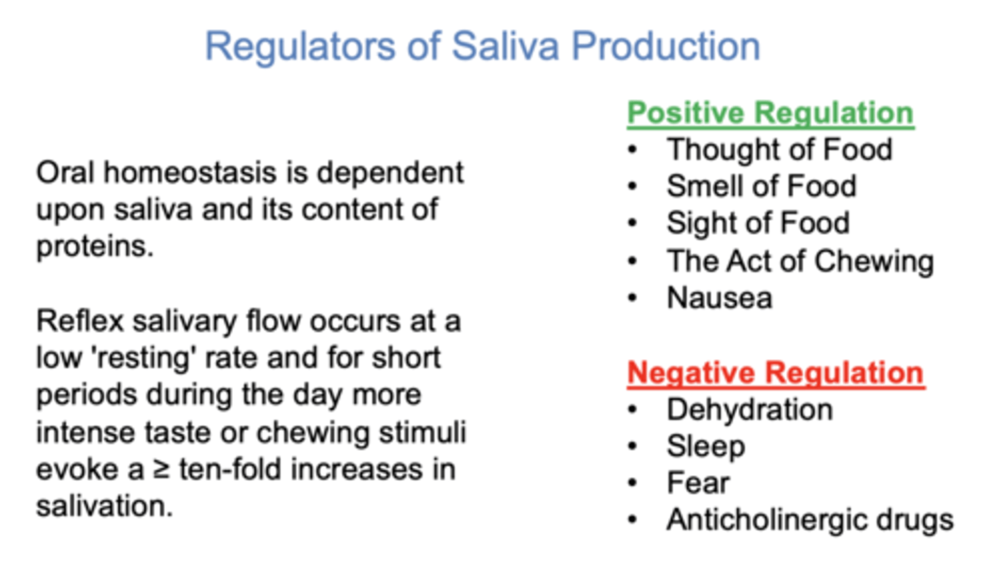 <p>Saliva (its proteins)</p>