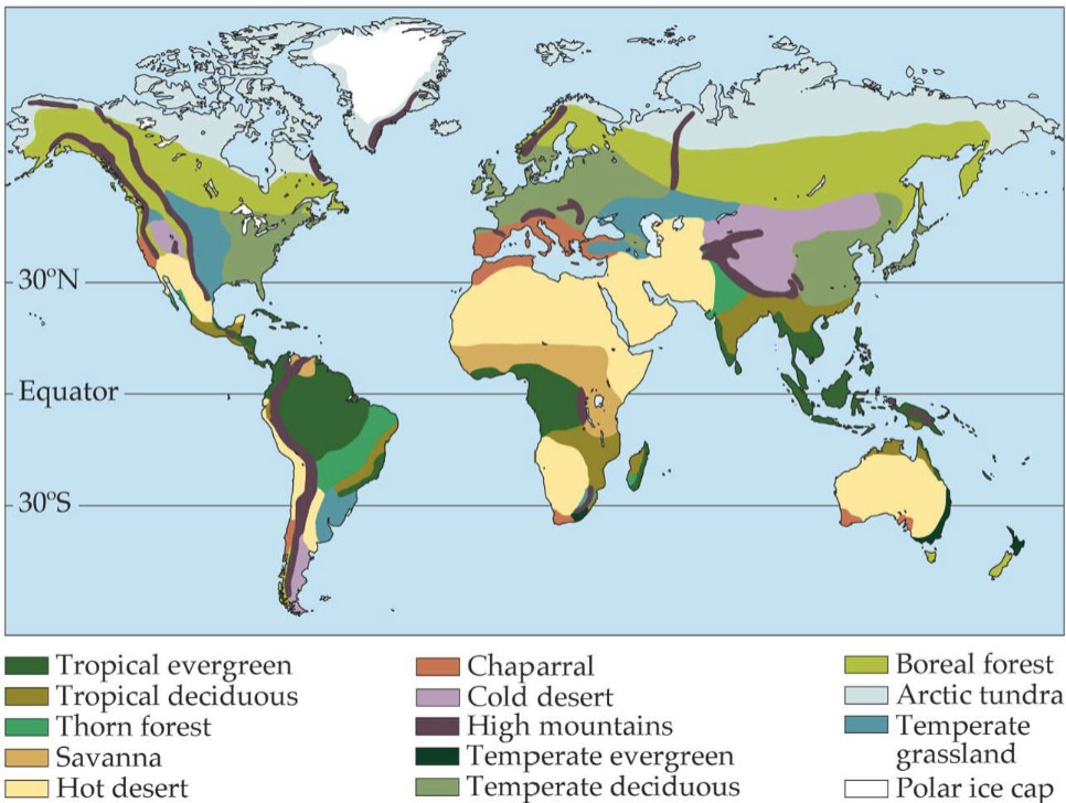 <p>A large geographical region of Earth characterized by specific <span><u><span>climate patterns</span></u></span> and vegetation structure.</p>