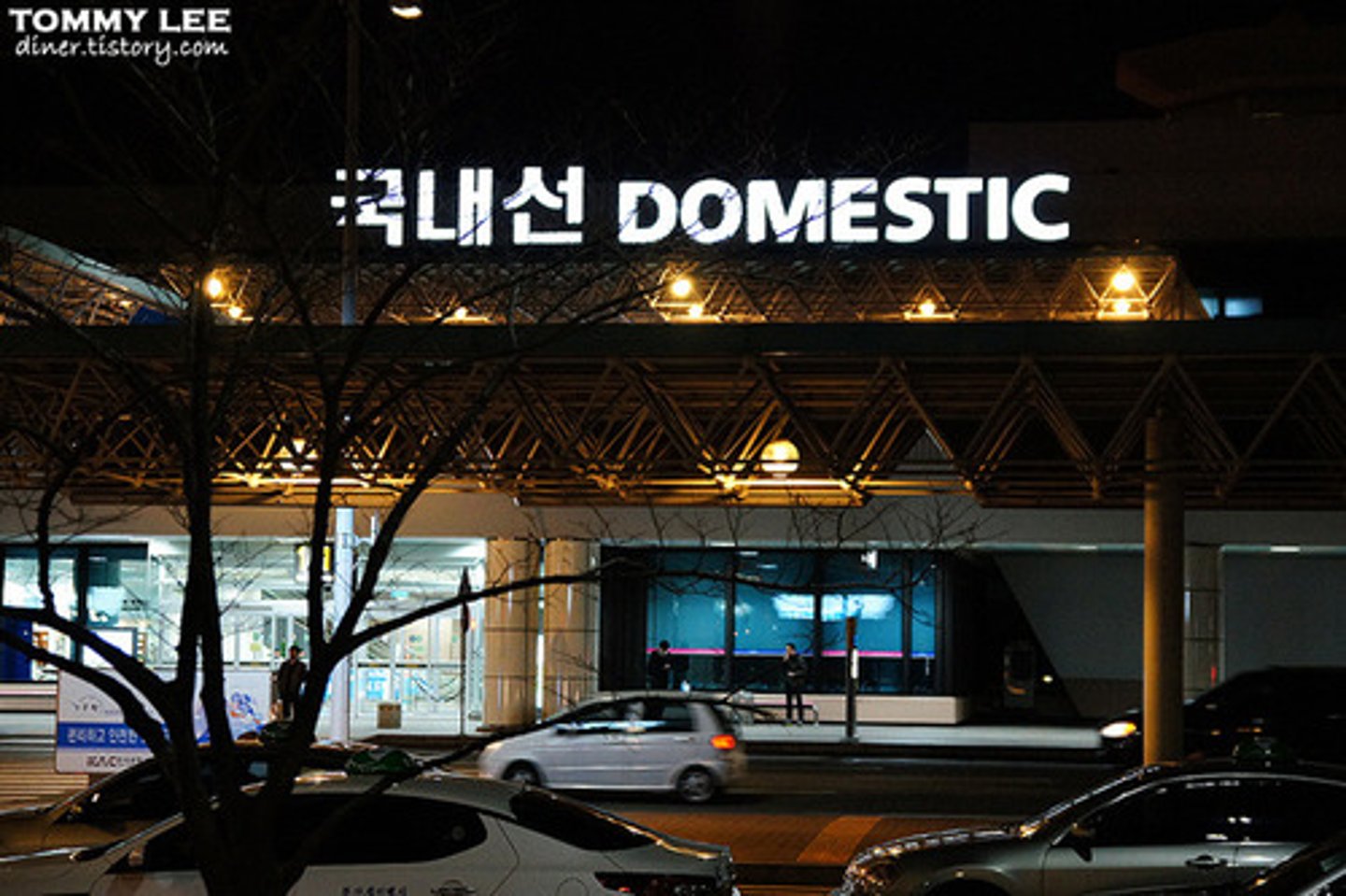 <p>domestic flight</p>