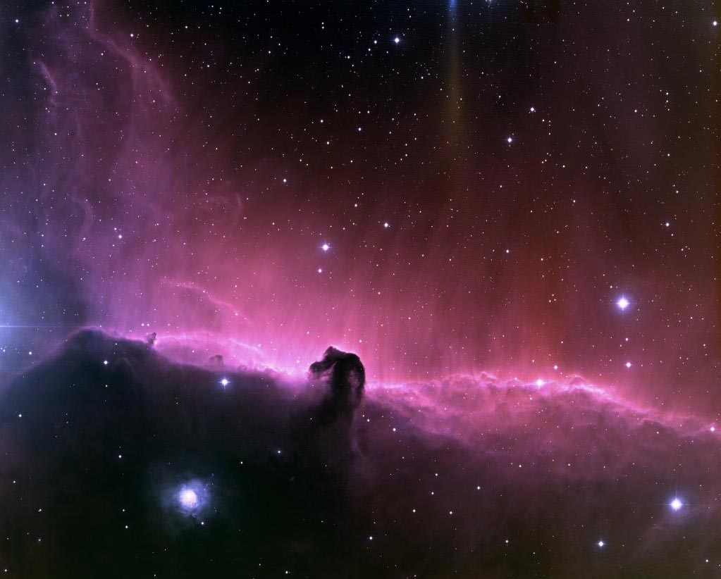 <p>Horsehead Nebula</p>
