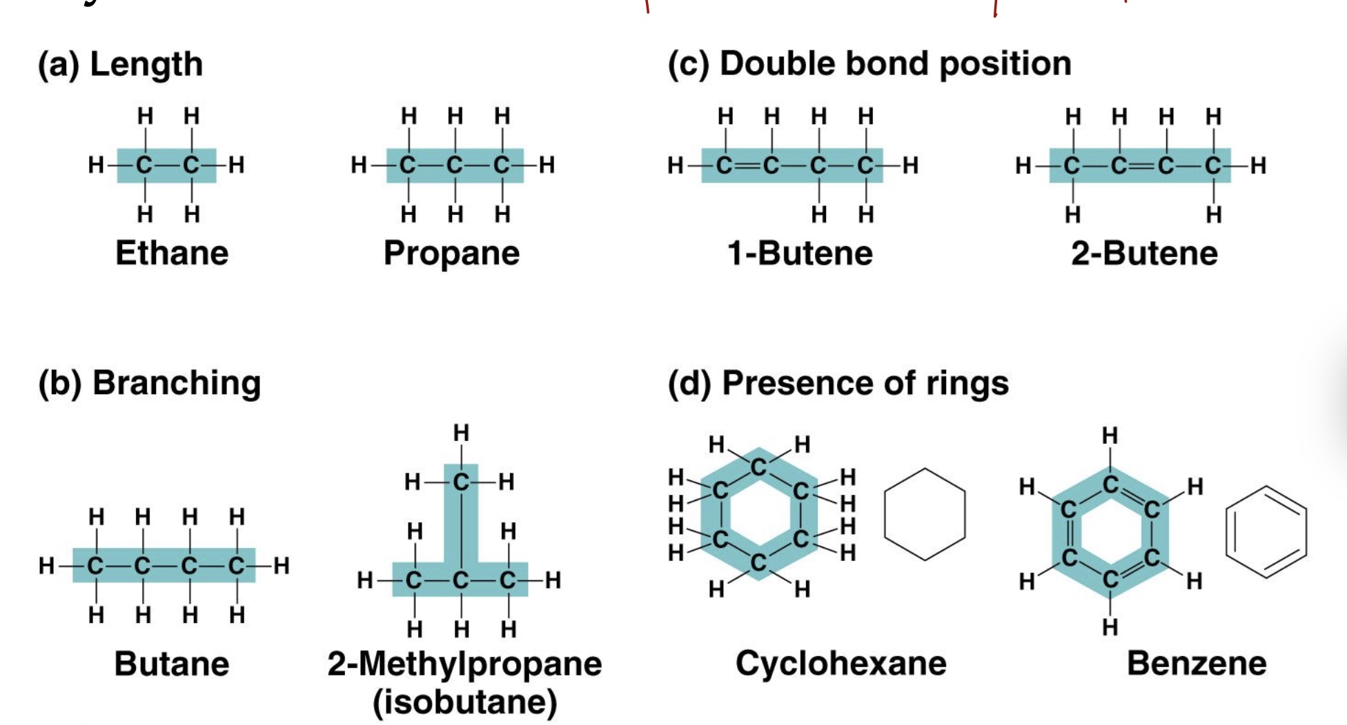 <p>4, covalent. Hydrocarbons are nonpolar and hydrophobic</p>