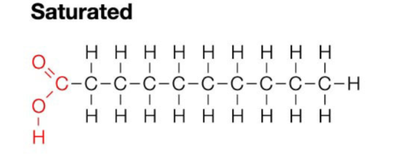 <ul><li><p><span>Contain the maximum number of hydrogen atoms per carbon atom</span></p></li><li><p><span>No double bonds - a straight chain</span></p></li></ul><p></p>
