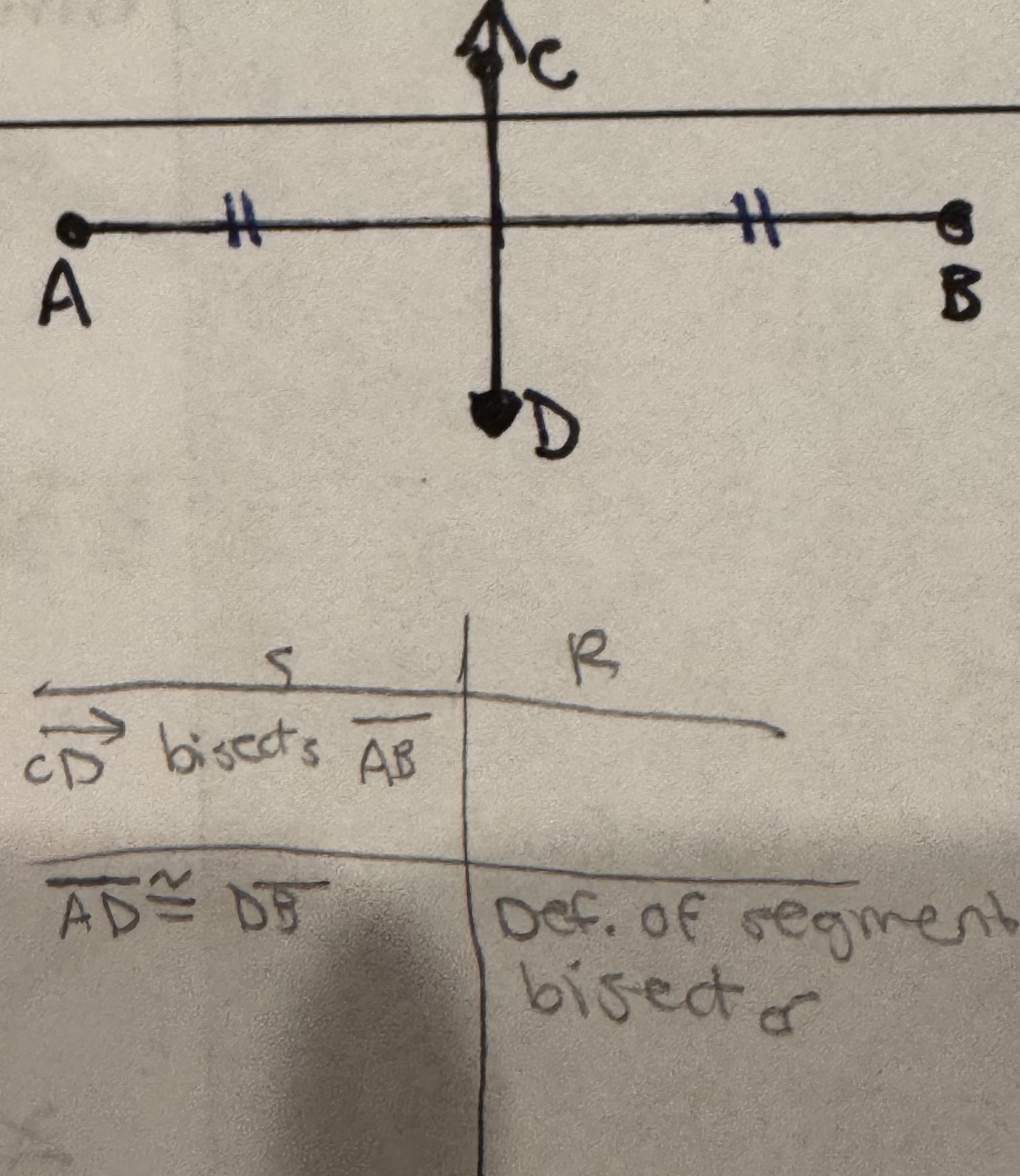 <p>Segment Bisector</p>