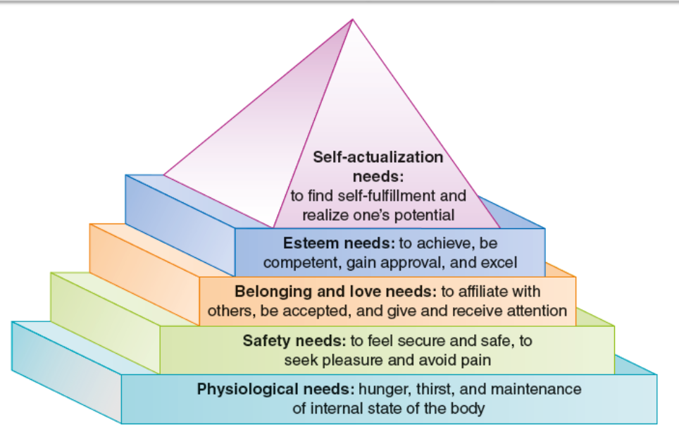 <ol><li><p>Physiological needs </p><ul><li><p>Physical survival (food, water, sex)</p></li></ul></li><li><p>Safety needs </p><ul><li><p>Need to feel safe and secure </p></li></ul></li><li><p>Belonging and love needs </p><ul><li><p>Close relationships with others</p></li></ul></li><li><p>Esteem needs </p><ul><li><p>Need to feel good about oneself</p></li></ul></li><li><p>Self-actualization needs </p><ul><li><p>Need to become all that one is capable of becoming </p></li></ul></li></ol><p></p>
