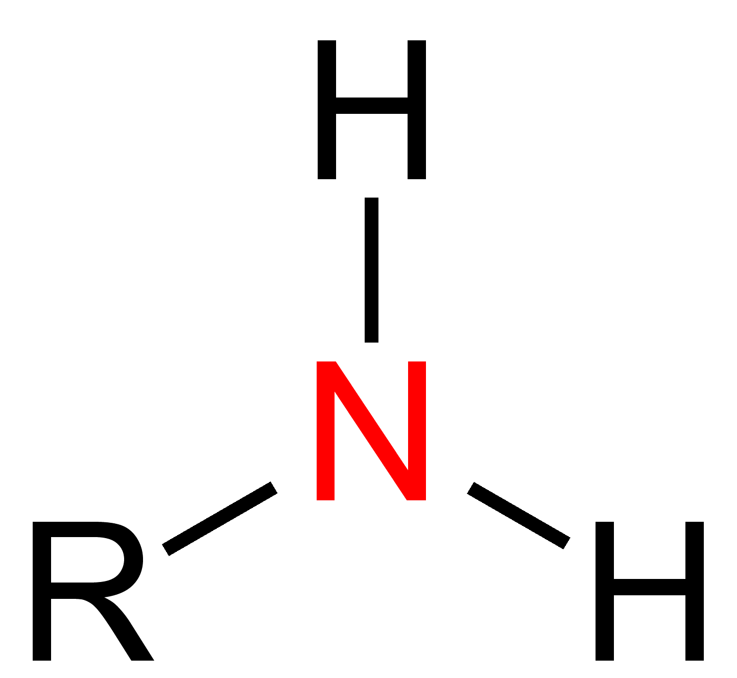 <ul><li><p>H atoms are replaced by hydrocarbon groups</p></li><li><p>ends in -amine</p></li><li><p>add N</p></li></ul>