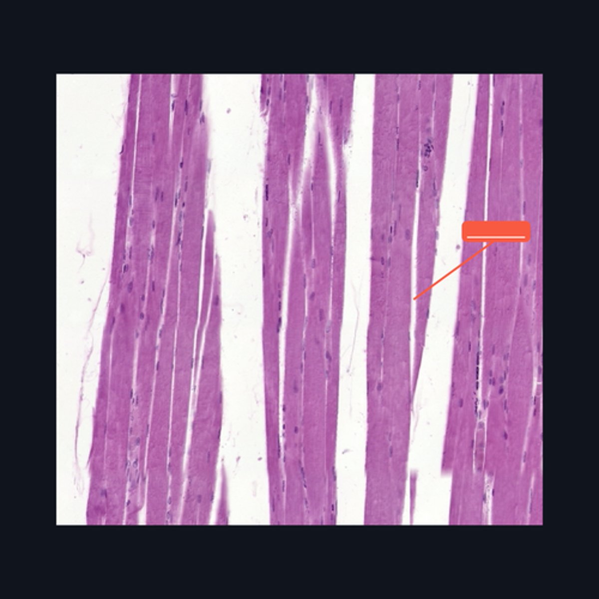 <p>Identify the structure</p>