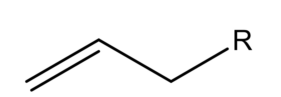 <p>Allyl-Gruppe</p>