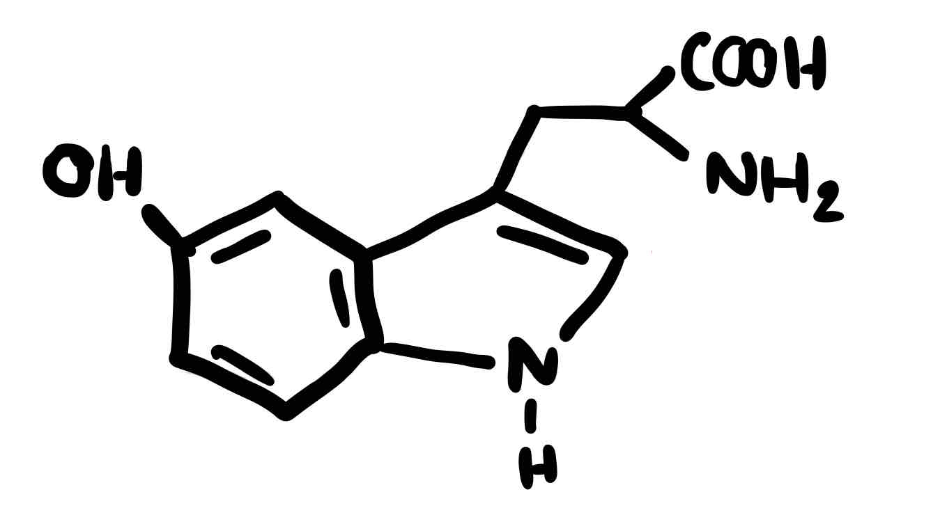 <p>Basic Alkaloid in plant (neurotransmitter(serotonin))</p>