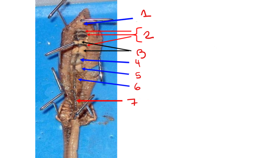 <p>6</p>