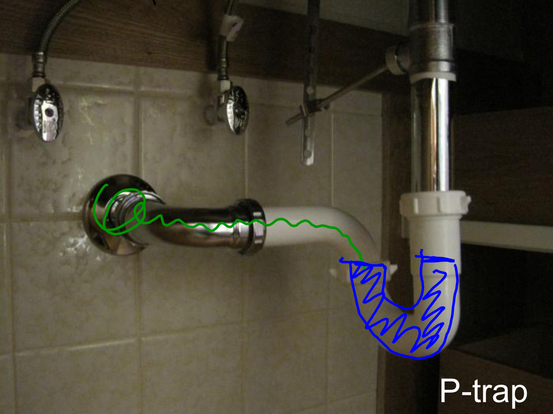 <p>p-traps definition and importance </p>