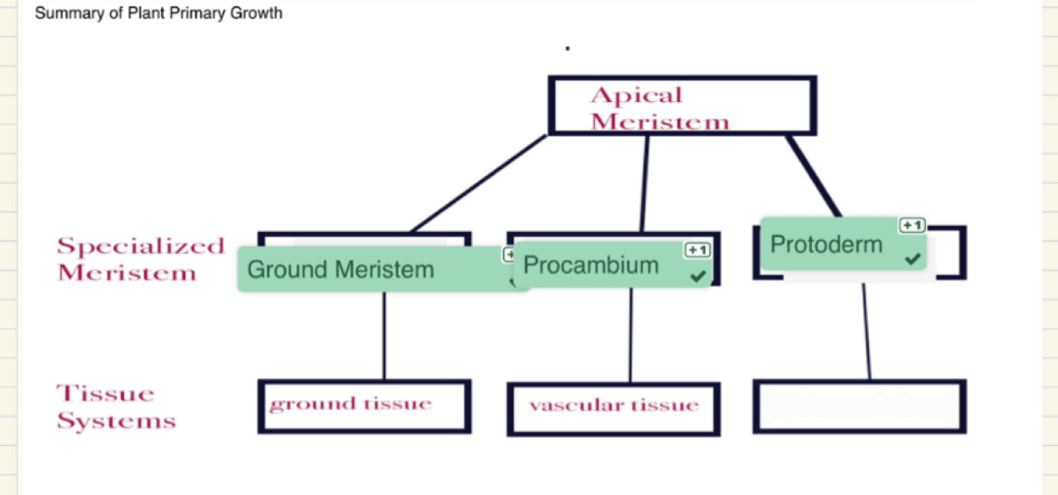 <p>What term is missing here?</p>