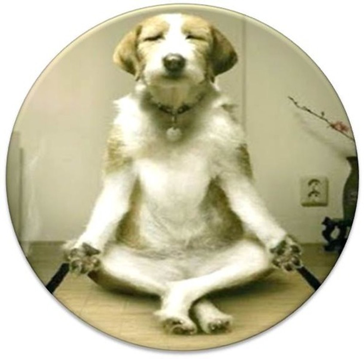 <p>(n.) an evenness of mind or spirit; calm ANT: hysteria</p>