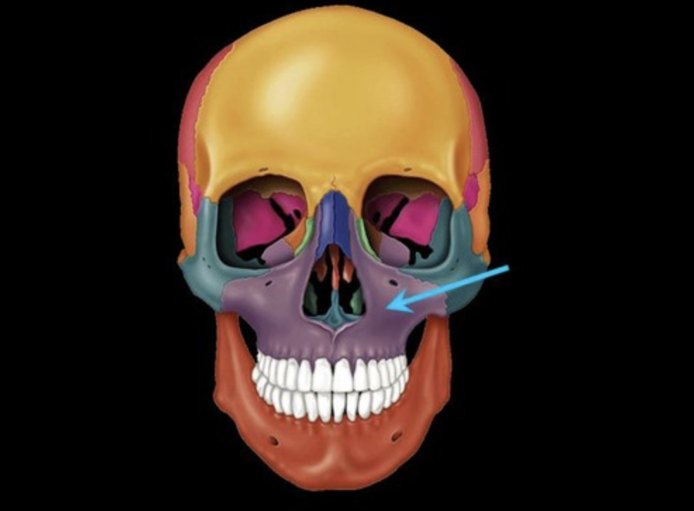 knowt flashcard image