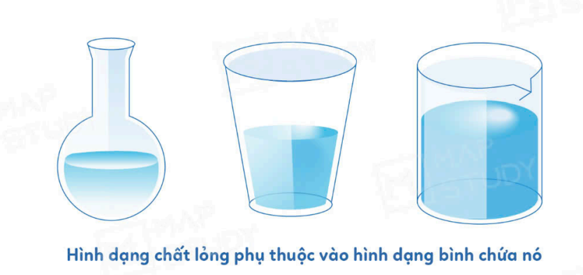 <p>phụ thuộc vào phần bình chứa nó</p>