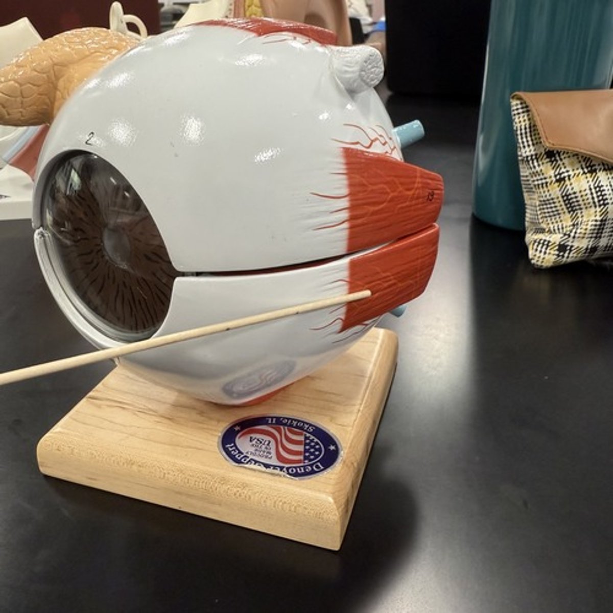 <p>What is this structure?</p>