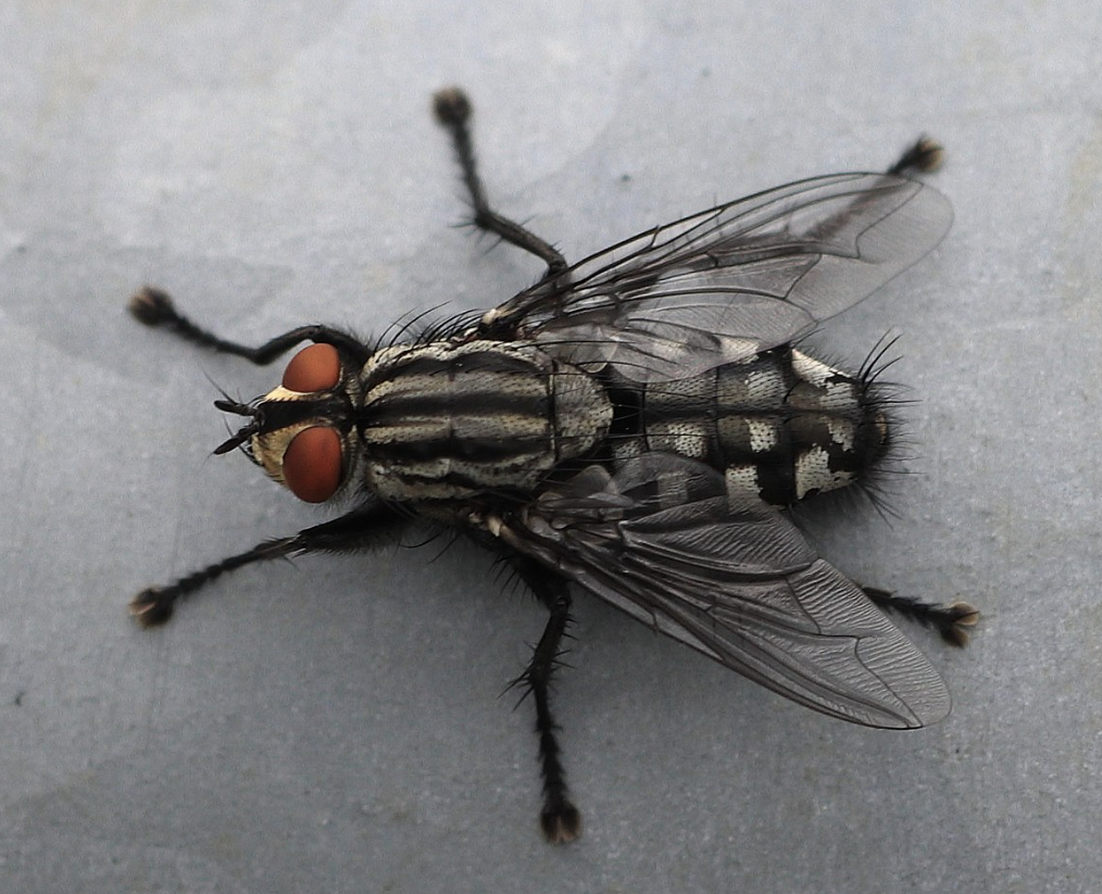 <p>what is this </p>