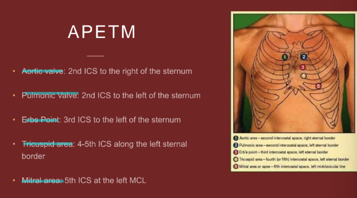 <ol><li><p>aortic valve</p></li><li><p>pulmonic valve</p></li><li><p>erbs point</p></li><li><p>tricuspid valve</p></li><li><p>mitral valve</p></li></ol><p></p>