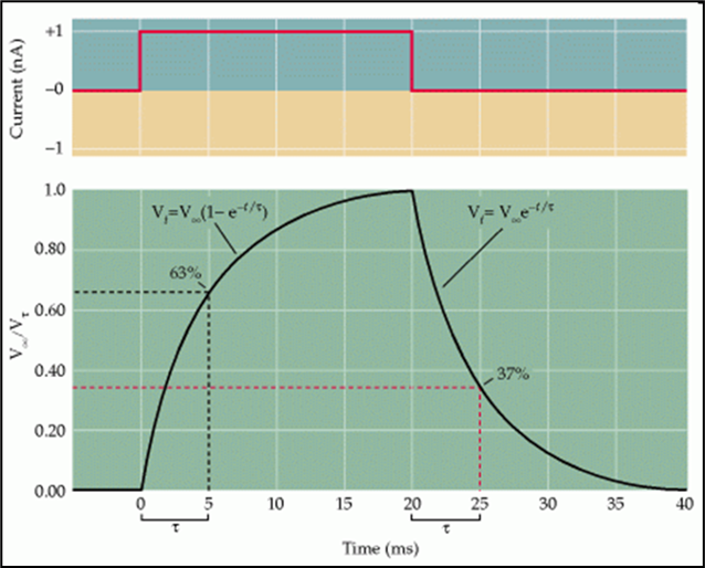 time constant – τ (tau)