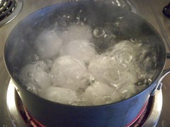 <p>to boil</p>