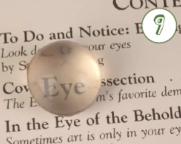 knowt flashcard image