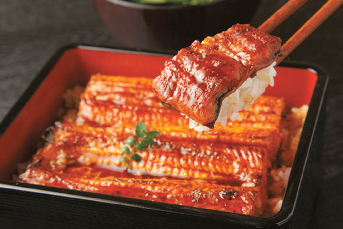 <p>grilled eel on rice</p>