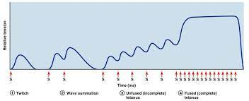 <p>Graded Responses</p>