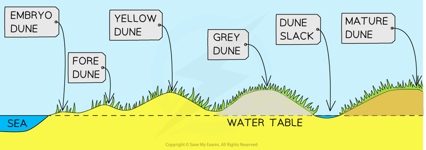 knowt flashcard image