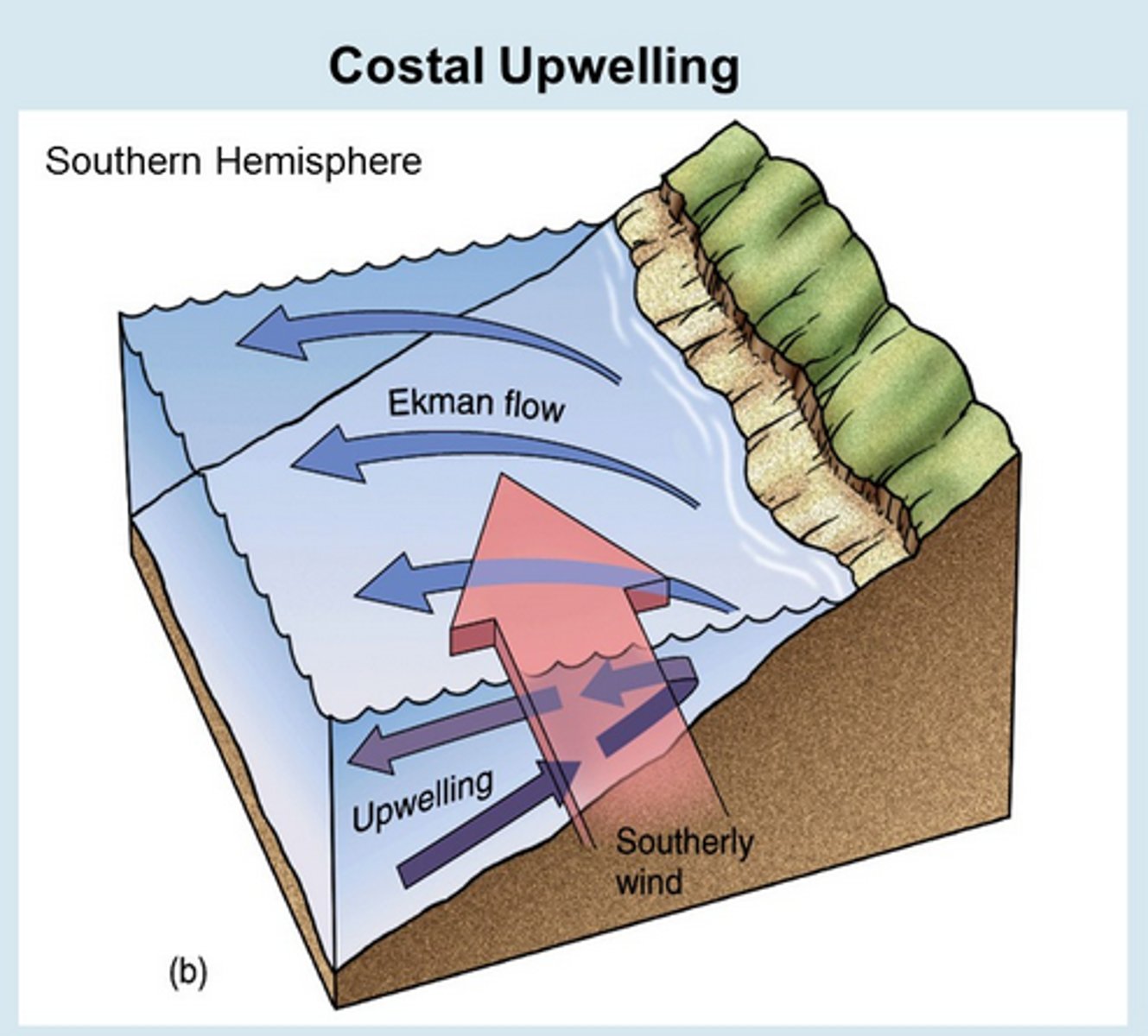 <p>places where deeper water rises</p>