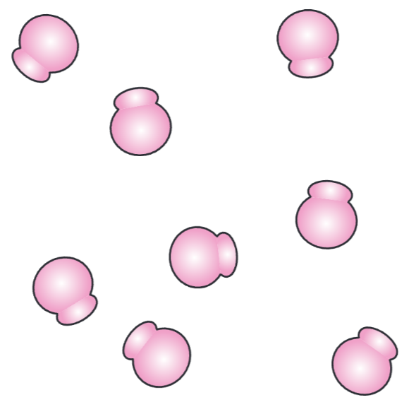 <p>ribosome</p>