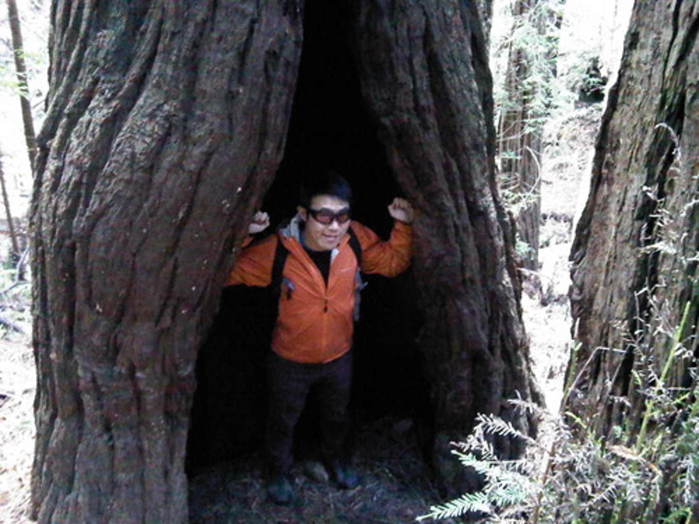 <p>to take shelter</p>