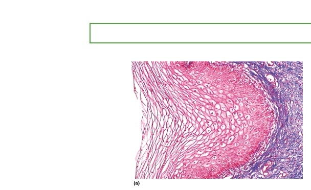 <p>what type is this</p>