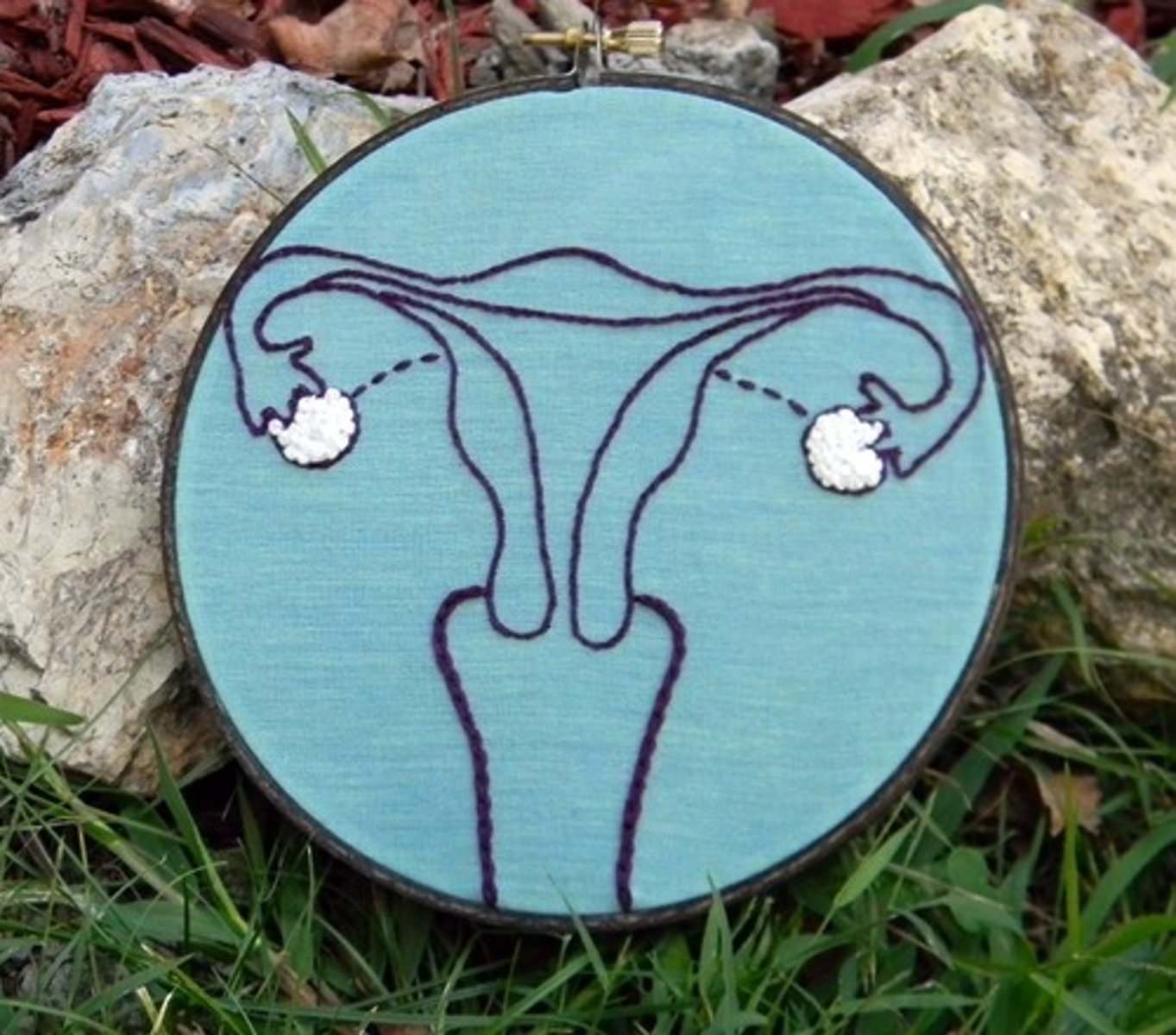 <p>Produces the egg (gland that produces estrogen and progesterone)</p>