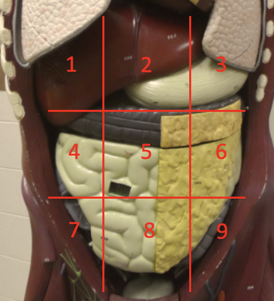 <p>6</p>