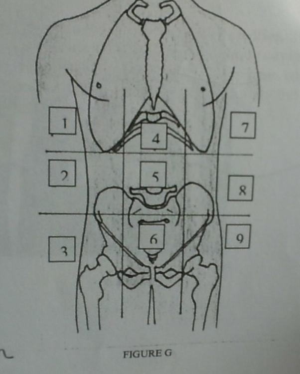 <p>Name region 7</p>