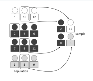 <p>Population divided into homogeneous strata (similar characteristics), and an is SRS taken within each stratum.</p>