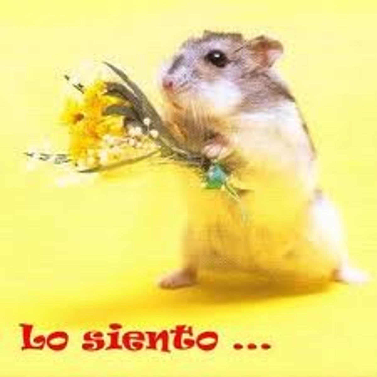 <p>pedir perdón por algo que se ha hecho mal o por una molestia causada.</p><p>извиняться.</p><p>Пример: El vecino vino a ________ por el ruido de la fiesta.</p>