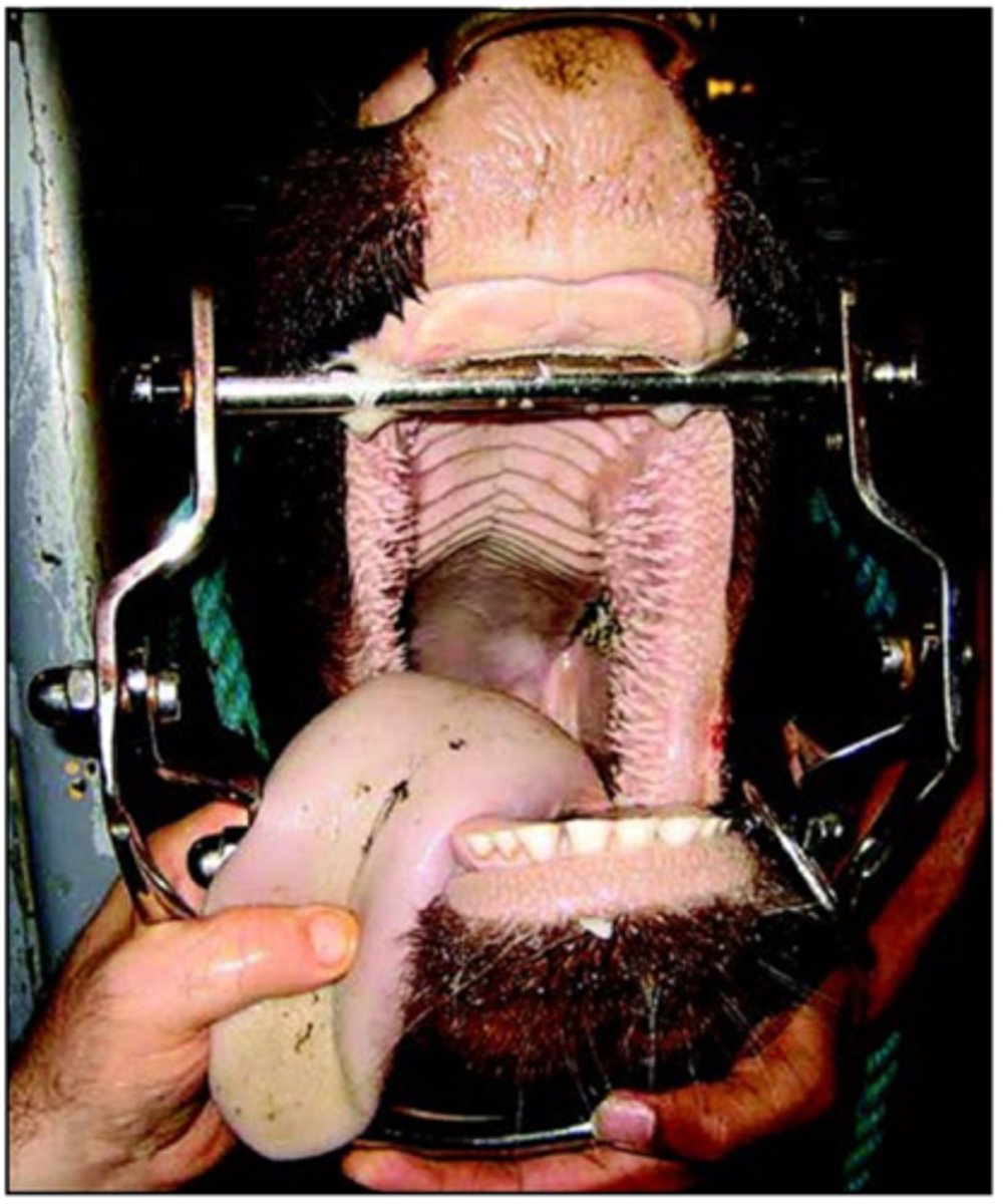 <p>blindly</p>
