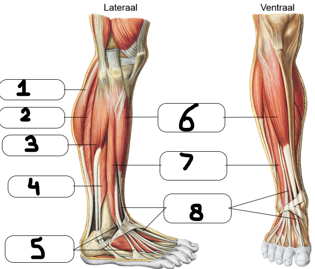 <p>wat is 5? —&gt; PR5</p>