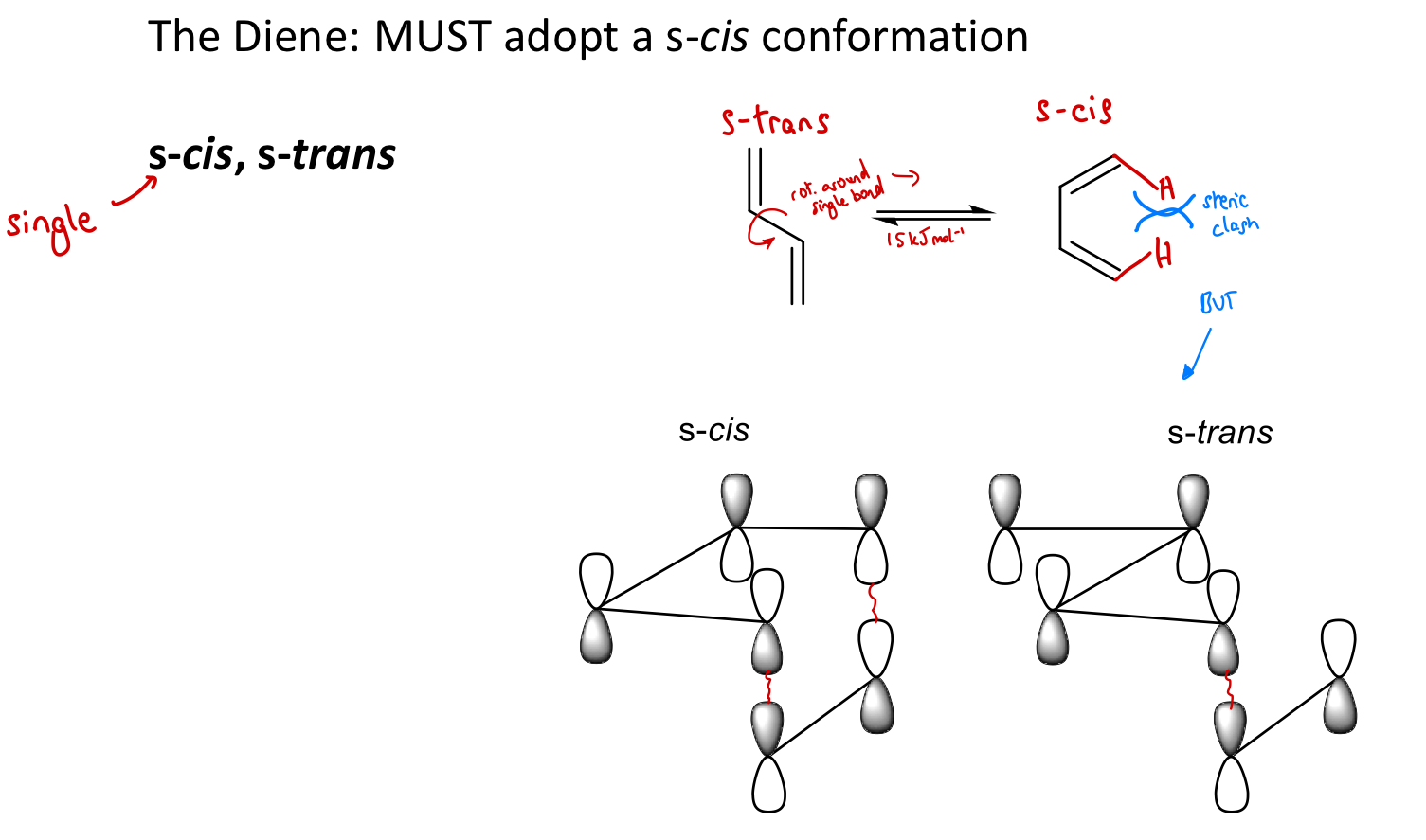 <p>Ends of diene are too far apart to react w/ dienophile in s-trans conformation - poor overlap of MOs with those of the dienophile.</p>