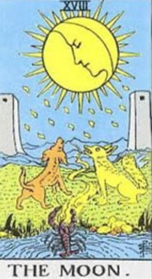 <p>The Moon</p>