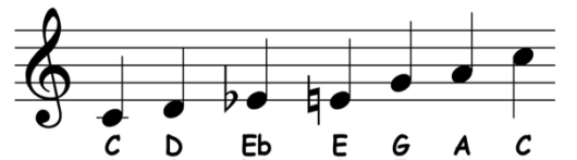 <p>The flattened notes in a blues scale</p>