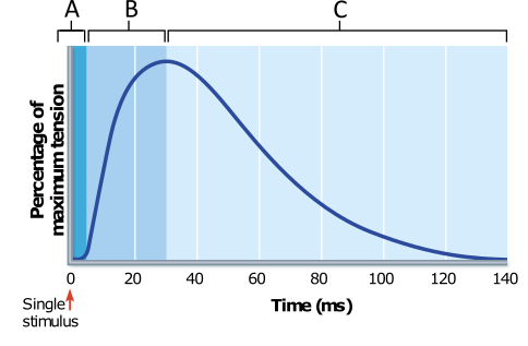<p>What result would be expected if an additional stimulus, equal in intensity to the first, were to be applied to the muscle at the 60 millisecond (ms) time point?</p><p></p><p>The muscle would quickly return to the fully relaxed state of minimum tension.</p><p>The muscle would increase in tension to a level greater than that measured at the beginning of phase C.</p><p>Tension would increase to the same maximum force measured at the beginning of phase C.</p><p>The tension exerted by the muscle would continue to decrease, but at a significantly slower rate than observed without the second stimulus.</p>