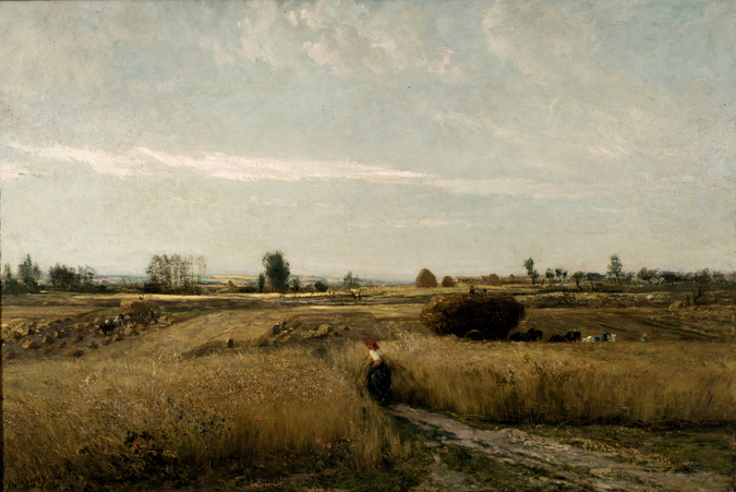 <p>paysage, babazon, realiste </p>