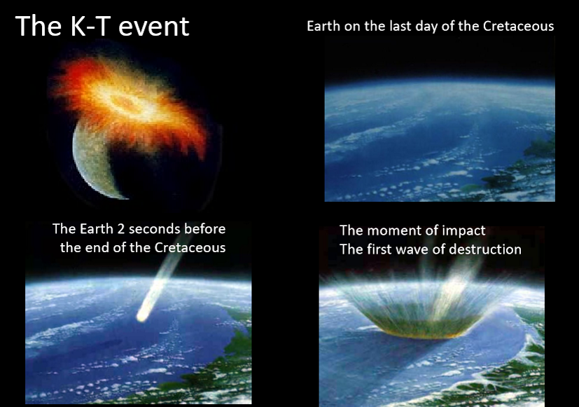 <p>The K-T event</p>