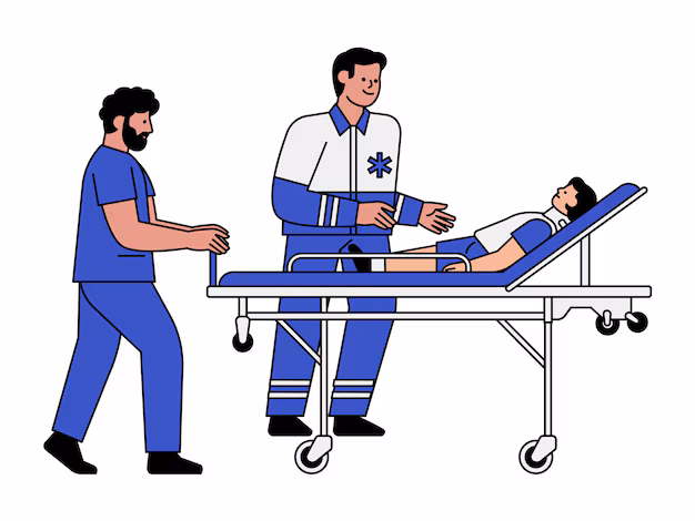 <p>Transport Decision</p>