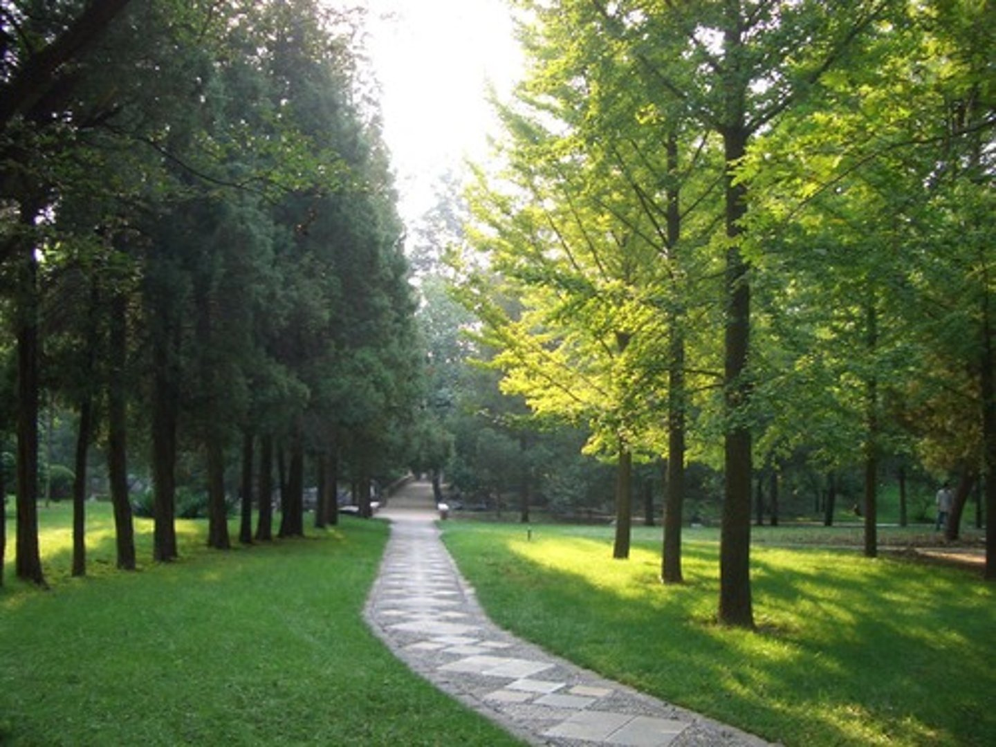 <p>con đường</p>