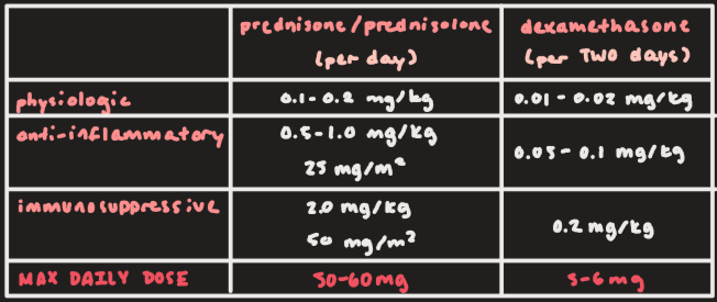 <ul><li><p>Prednisone/prednisolone: 50-60 mg</p></li><li><p>Dexamethasone: 5-6 mg</p></li></ul><p></p>