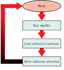 <p>A stabilizing feedback loop occurs when the output of a process inhibits or reverses the operation of the same process in such a way to reduce change.</p>