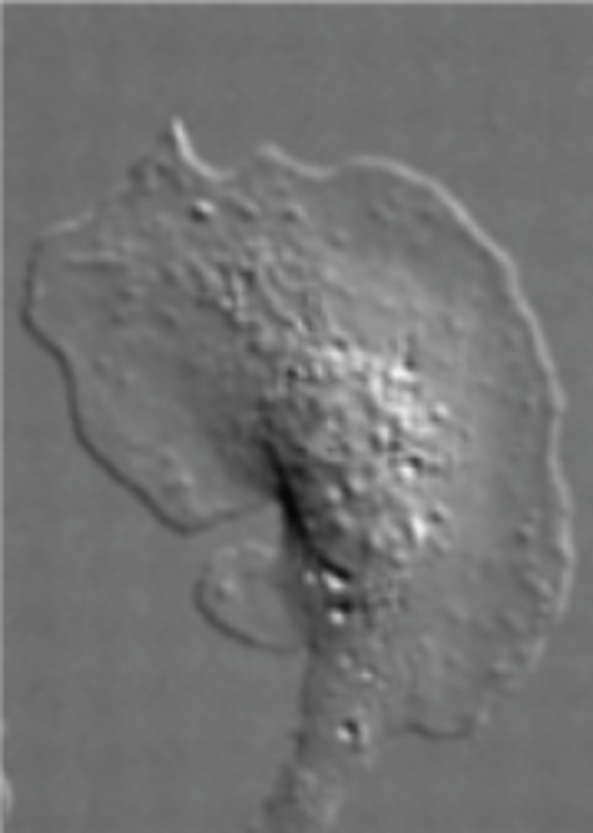 <p>What is this and what does it do?</p>